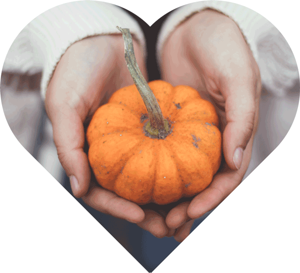 hands holding pumpkin